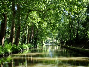 Le Canal du Midi et sa parure de Jade