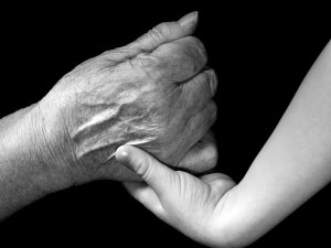 Lilie Perline Le lien