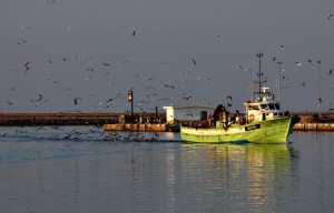 "Le retour du chalutier"